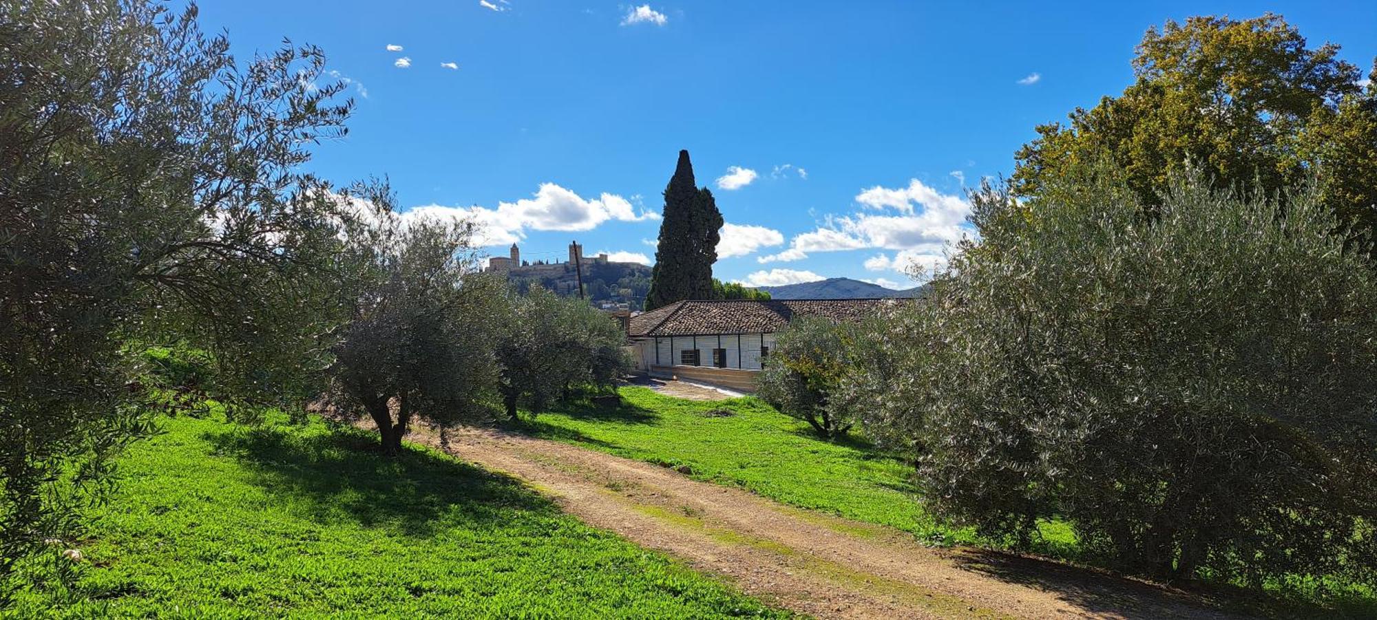 Cauchil Chico Villa Alcalá la Real Exterior photo